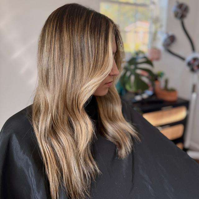 Luxe Color Collective